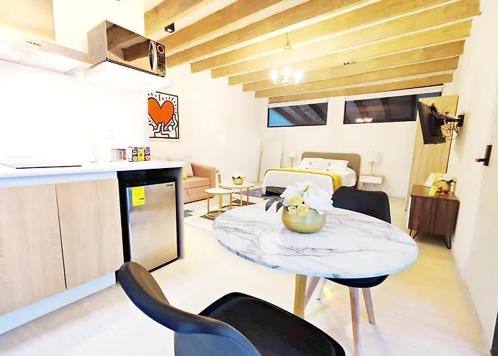 Luz Maria 5 Maiahome Urban Elegance Apartment Mexico City